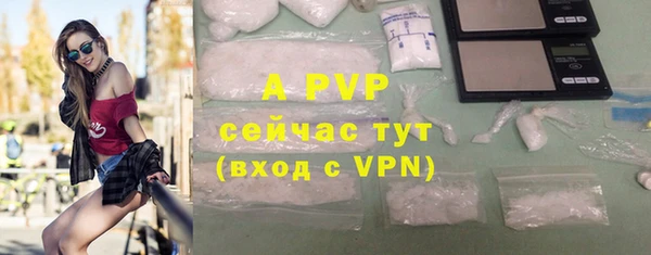 стафф Володарск
