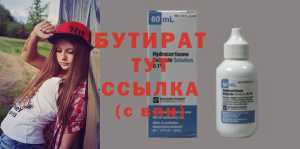 хмурый Верея