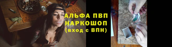стафф Володарск
