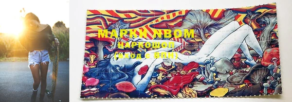 стафф Володарск