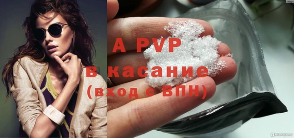 хмурый Верея